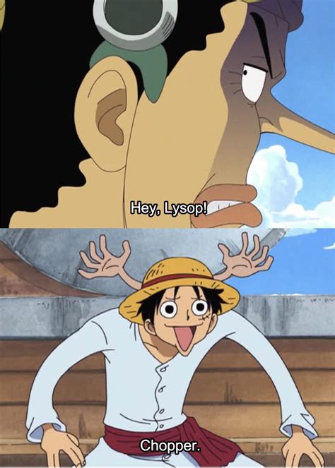 funny one piece images|funny one piece clips.